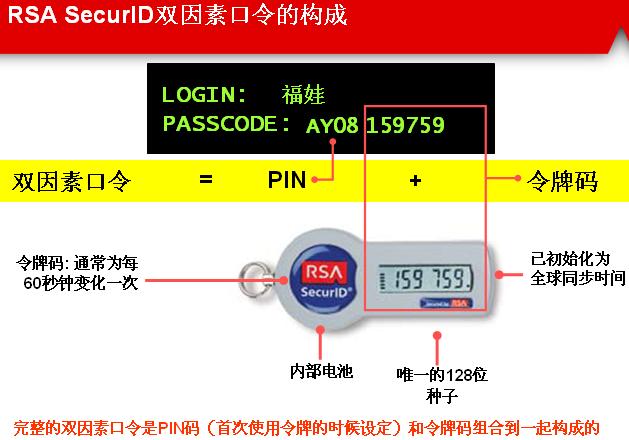 proView_4.jpg