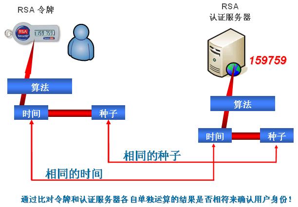 proView_5.jpg